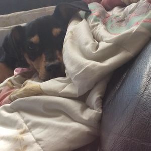 Meet your Posher, Ismael